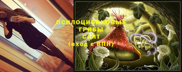 шишки Семикаракорск
